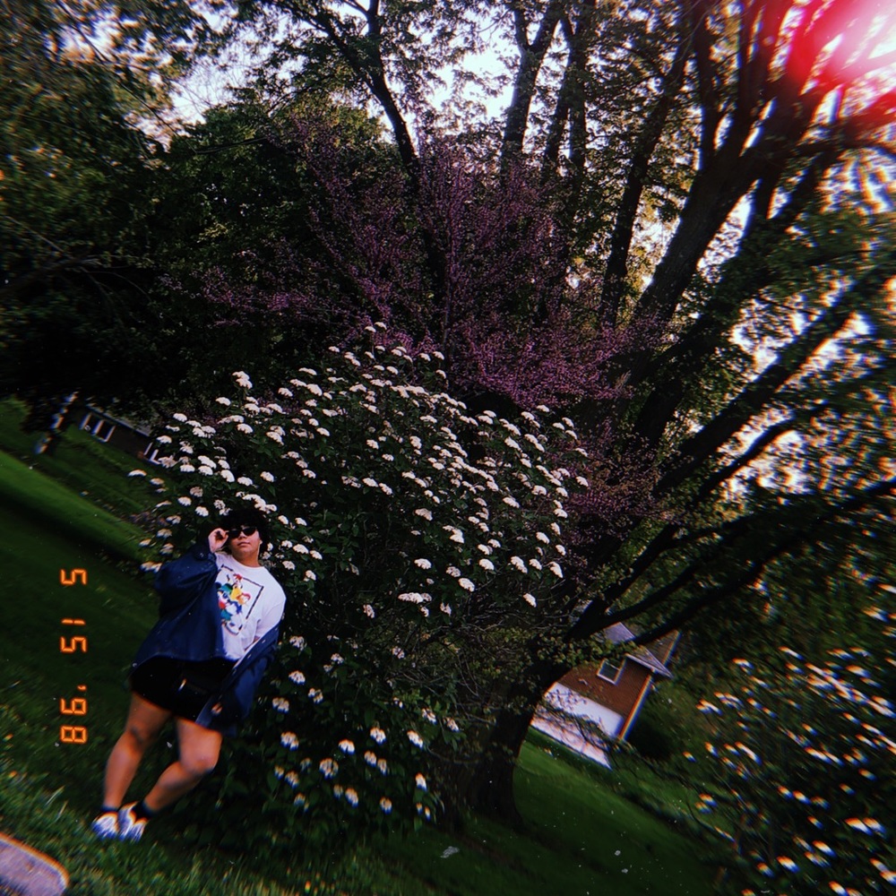 Meet your Posher, Emily Tierra